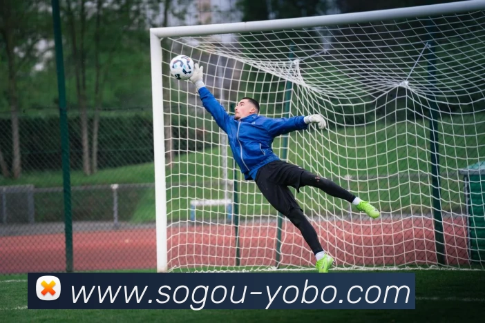 友博体育平台生态图