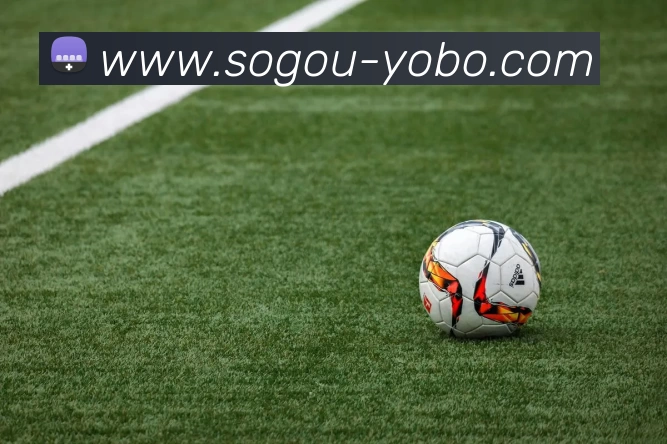 友博体育APP 封面图